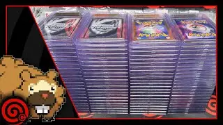 BGS GROUP RETURN FROM FEB - PRICING UP SLABS - LIVE CARD SHOP