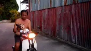 P1000014