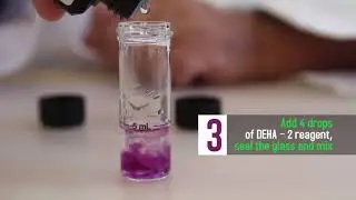 MARICHEM MARIGASES - Deha Test Kit