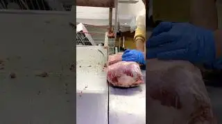 Halal Frozen Boneless Indian Buffalo Meat Cutting Skills ⚙️🥩#shorts