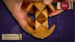 Great Minds - Darwin Solution.mov