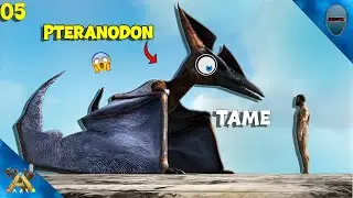 Pteranodon Taming Made Easy for Noobs! Ark Mobile Revamp | Ark Ultimate Mobile Edition Ep 05 Hindi
