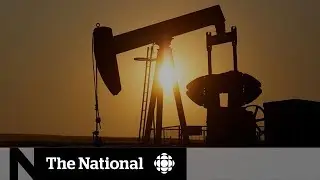 Alberta's oil industry watching prices closely