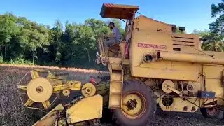 NEW HOLLAND CLAYSON 1530 COLHENDO SOJA 🚜🌱💯