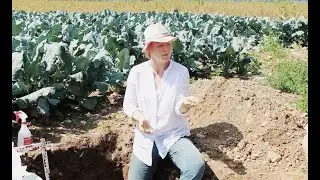 World Food System Summer School