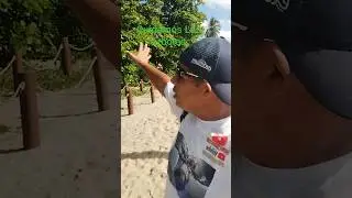 Cuidemos Los &aacute;rboles Cada espacio Natural Cuenta