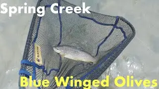 Perfect Conditions For The Blue Winged Olive Hatch On Spring Creek