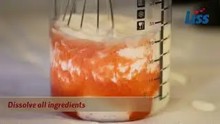 LISS Cream whippers