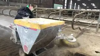 Cleaning & Bedding the cubicles