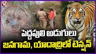 Tiger Tension In Jangaon and Yadadri Districts After Tiger Pugmarks Surface | V6 News