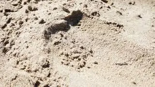 Six Minutes - 68 - Bright Sand