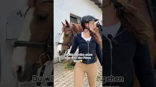 Schrecklich sowas!🤣 der unm&ouml;gliche Ausreitpartner! #pferd #horse #equestrian