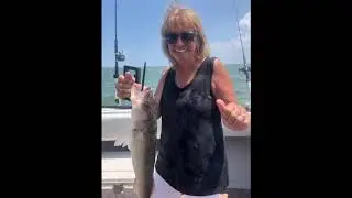 Lake Erie Walleye Fishing Charter 2020