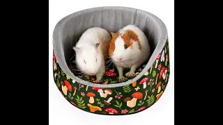 🐹💤 Cozy Guinea Pig Bed &ndash; Soft, Thick & Machine Washable!