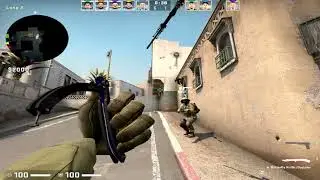 CSGO POV Liquid FalleN (20/13) vs Astralis (dust2) @ BLAST Premier World Final 2021