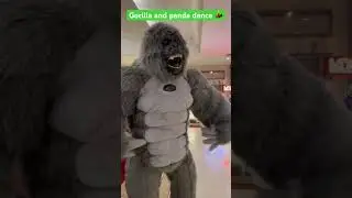 Gorilla 🦍 and 🐼 dance #animals #animalfight #cutepanda #indian #delhi