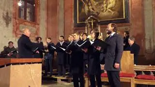 Chorus Vienennsis