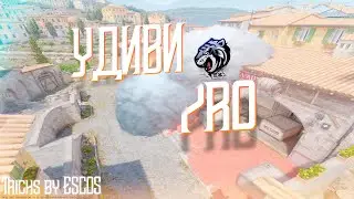 TRICKS CS2 | ФИШКИ ОТ ESCOS'a | CS2 | SMOKE FALSH FIRE | OVERPASS INFERNO DUST2 |