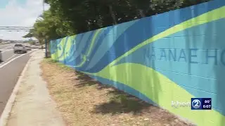 Deterring Hawaii&rsquo;s graffiti problem with art