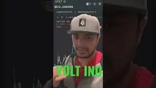 VOLT INU TOKEN, TODAY AND WHERE WE STARTED #voltinu #voltarmy #1000x