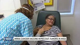 UF study: cancer vaccine with immunotherapy shows promise in mice | Shorts #short