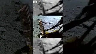 Chandrayaan-3: Rover Descends to Lunar Surface #rover #lunar #surface