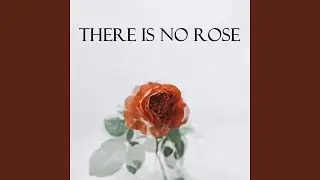 There Is No Rose