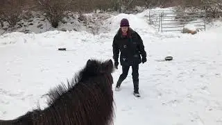 Cocoa connection