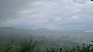 Tropical rain. The power of that thunder at the end, wow! #tropical #trending #nature 