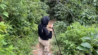 BUKIT DAOLONG SENTUL BOGOR