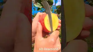 Amazing Fruits Framing 🍎🍑🍍🤤🔥 #shorts #fruit #amazingfruitcutting @fruitdecoration4295