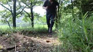 別府：扇山の弾丸な登り方3（2013.06.04）