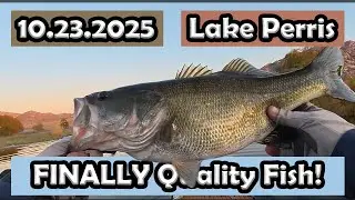 Ловля окуня на озере Перрис: осенний оборот. Всего 6. #zmanfishingproducts #lakeperris #bassfishing