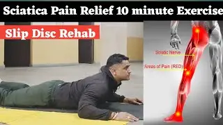 Lower back pain | back stiffness | Slip disc exercise #backpain #sciatica #lowerbackpain 
