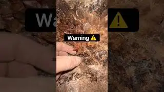 Кристаллическое проклятие реально 😳