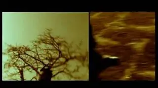 haider khan picture.co,part-2