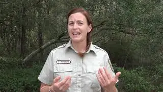 Welcome to the Bon Secour National Wildlife Refuge, Oct. 21, 2019
