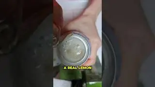 Future Lemon Sour Cocktail: Real Lemon Inside the Can! #viral #japan #レモンサワー #世界初 #未来のレモンサワー
