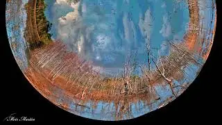 Meir Martin It's SuRReal MM 165