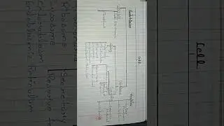 Cell Biology #rmlau #exams #importantquestions #msc #previousyearquestions #zoology #exam #education