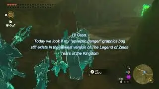 it is still in the game Zelda TOTK Graphics bug (1.2.0)