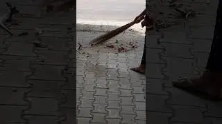 ASMR Courtyard cleaning with sound