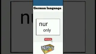nur ( only) german adverbs