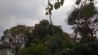 Kiriburu Hill Top