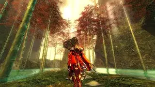 GW2 | They Call it 