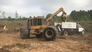 Logging in Mississippi