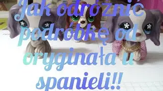 Jak odróżnić podróbkę od oryginała u spanieli. ~Lemon~