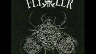 Flykkiller - Flykkiller