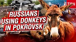 ШОКИРУЮЩЕЕ УСТУПОК: Современная армия превращается в средневековую насмешку! ТЕХНОЛОГИЧЕСКАЯ КАТА...