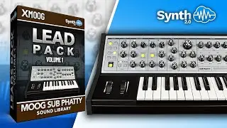 MOOG SUB PHATTY ♫ 16 Lead Sounds ► LEADS PACK V1